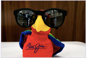 Spectacles  - London - University Vision Opticians - Frames